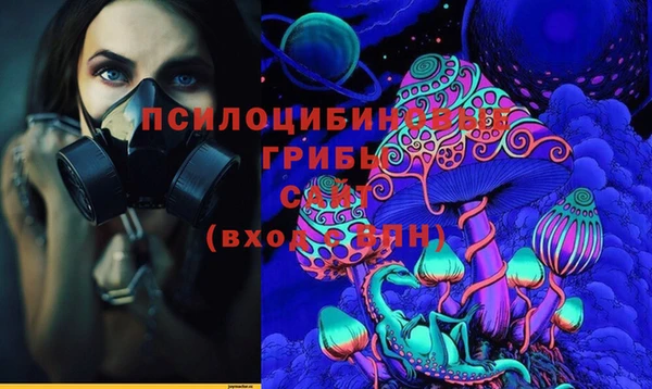 тгк Зеленодольск