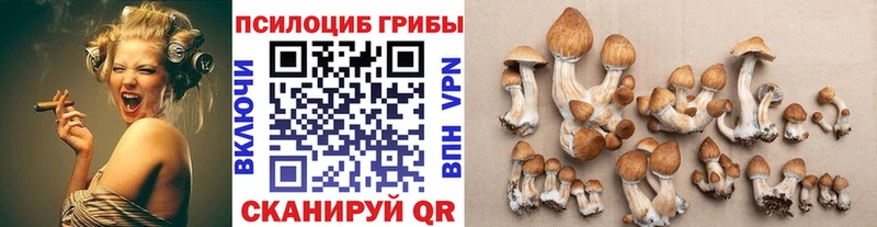 Галлюциногенные грибы GOLDEN TEACHER  даркнет сайт  Долгопрудный 